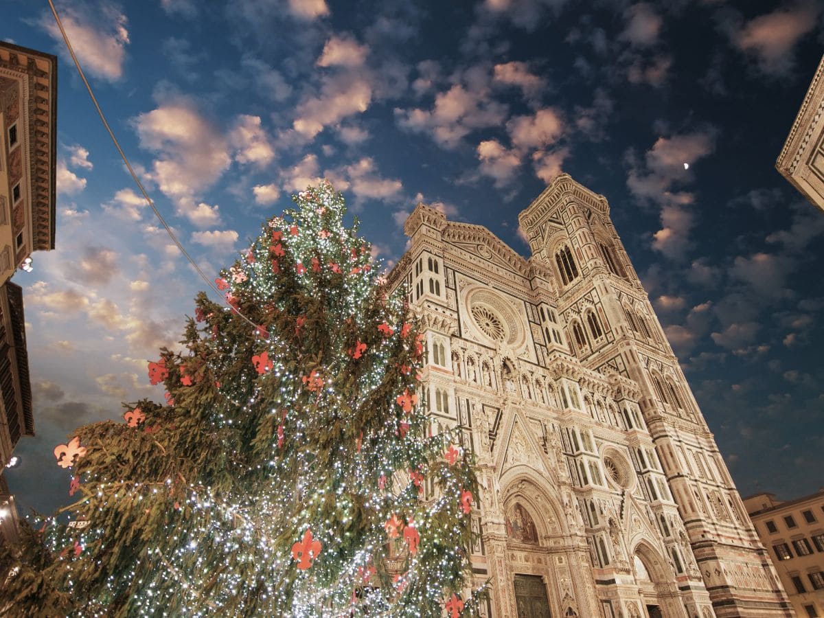 Florence Christmas tree in winter